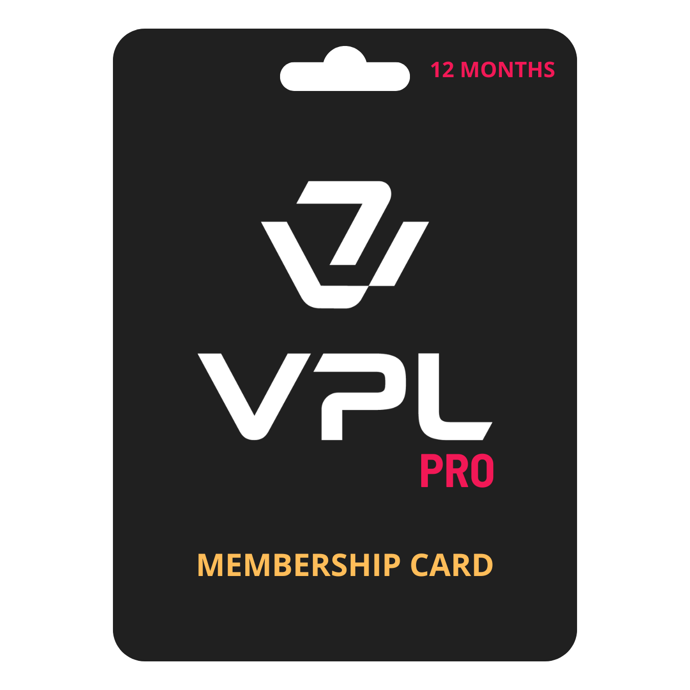 PRO USER - 12 Months