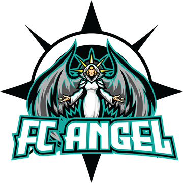 VFC ANGEL - PC - Virtual Pro League