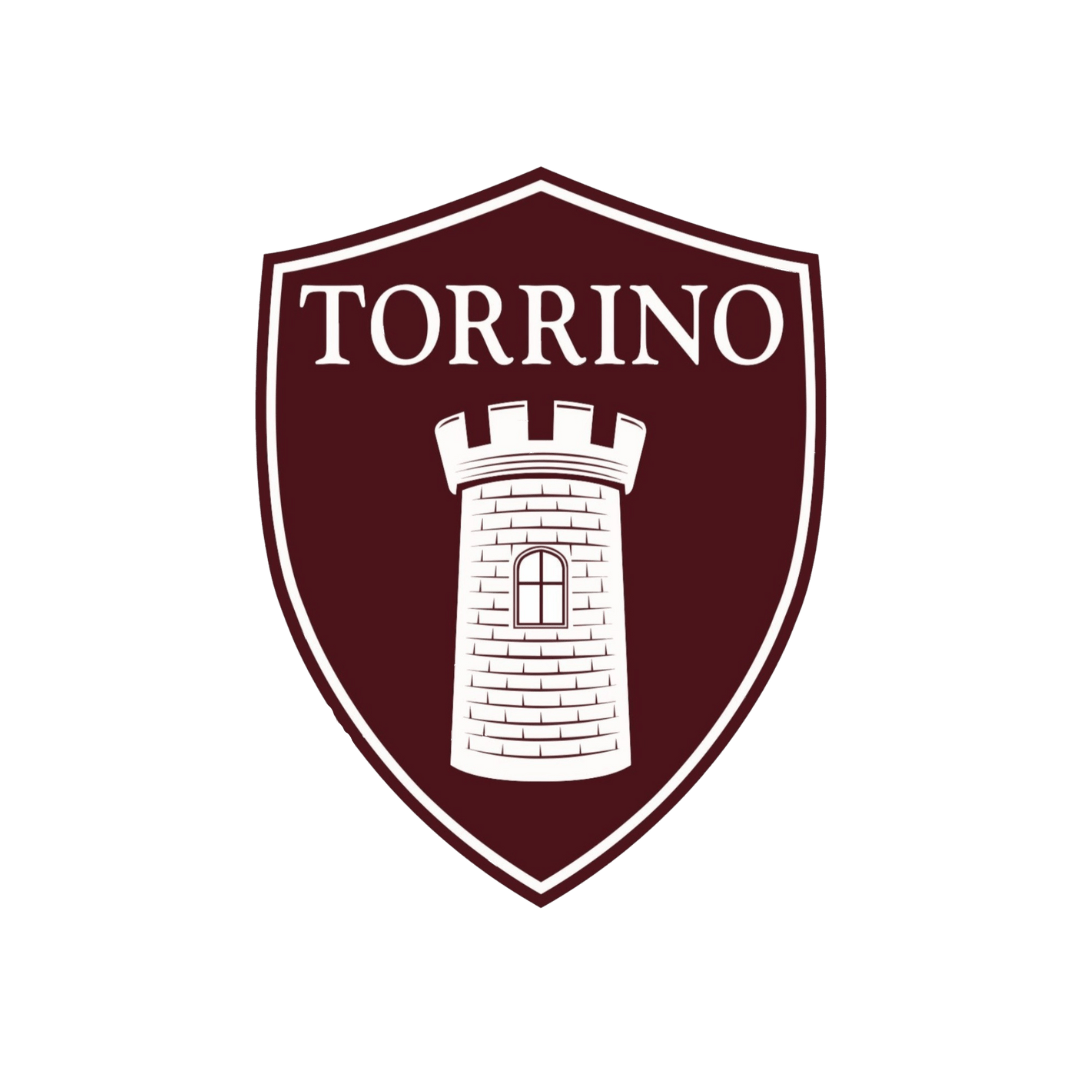 Torrino Calcio - Playstation - Virtual Pro League
