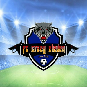 Fc Crazy Eleven - PC - Virtual Pro League