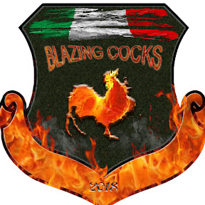Blazing Cocks - PC - Virtual Pro League