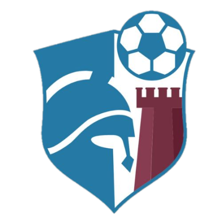 Baronissi Calcio 2010 - Playstation - Virtual Pro League