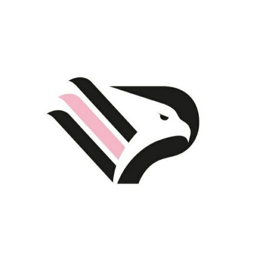 Palermo C5 - rit - Playstation - Virtual Pro League