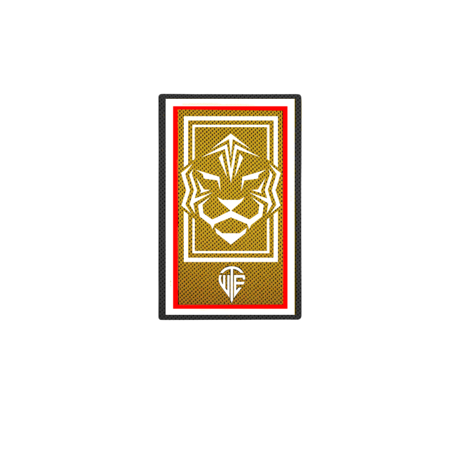 White Tigers ES - Xbox - Virtual Pro League