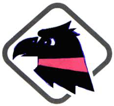 EMIGRATES - Xbox - Virtual Pro League