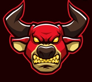 Mad Bulls FC - Playstation - Virtual Pro League