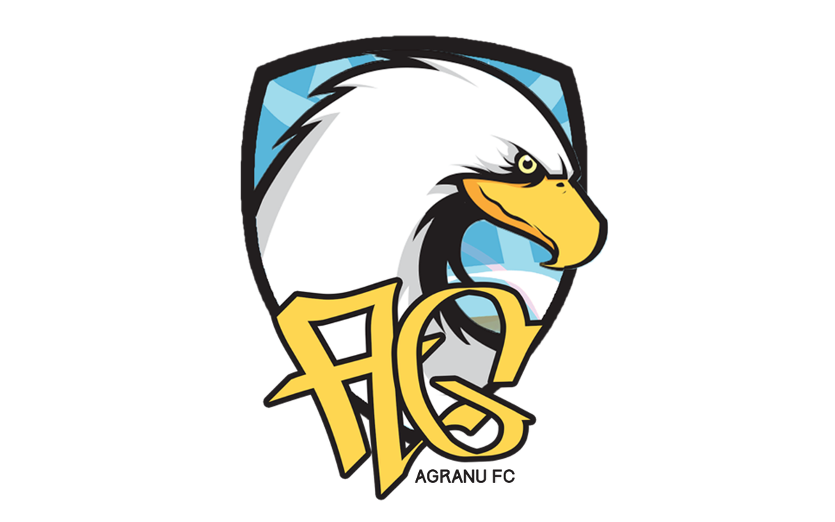 Agranu FC - Playstation - Virtual Pro League