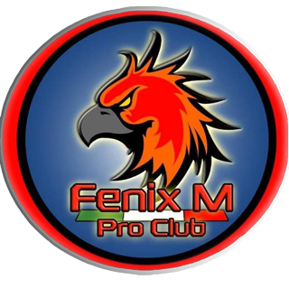 Fenix - PC - Virtual Pro League