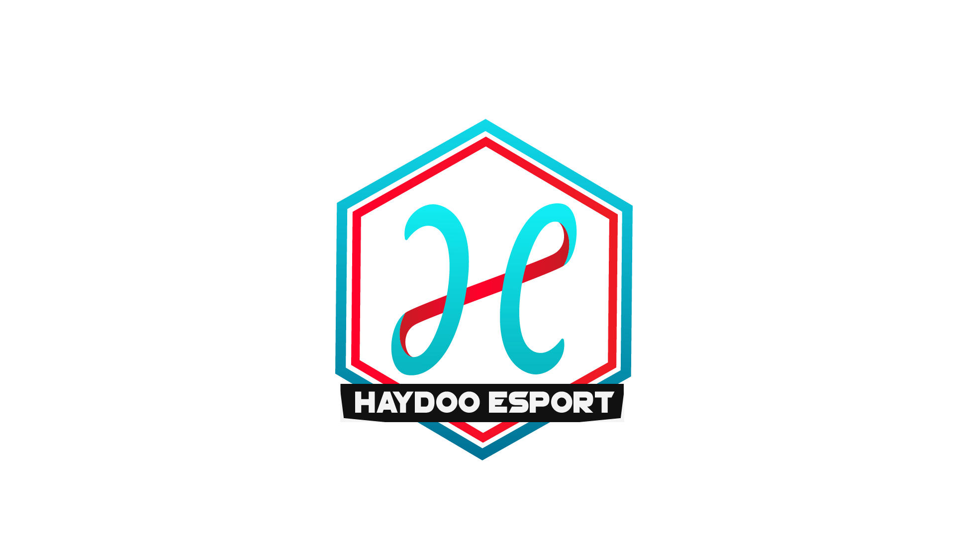 Haydoo ESport - Playstation - Virtual Pro League