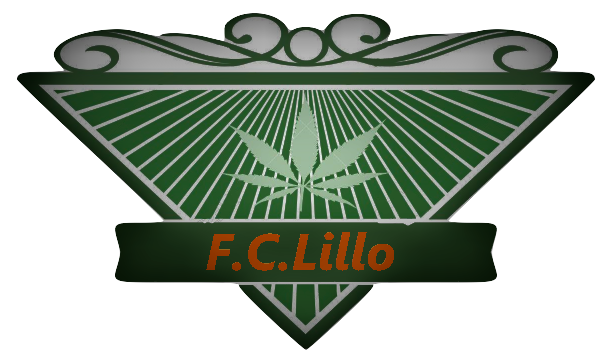 Fc Lillo - Playstation - Virtual Pro League