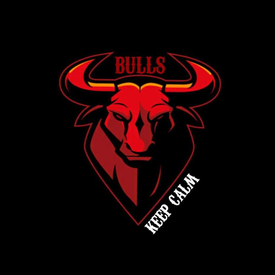 Bulls Eye - Playstation - Virtual Pro League