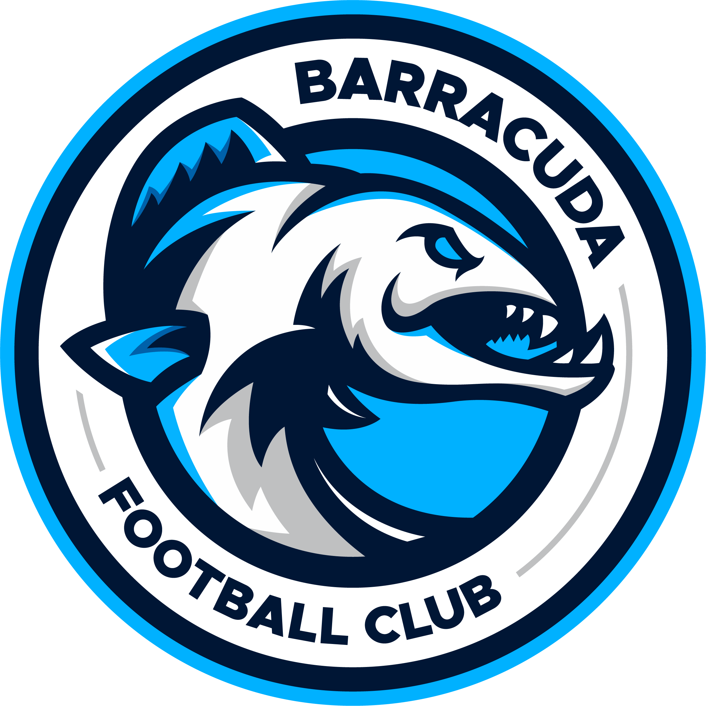 Barracuda FC - Playstation - Virtual Pro League