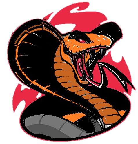 UltimateBoys - Playstation - Virtual Pro League