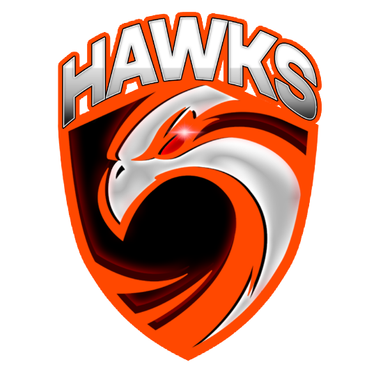 Hawks Proclub - RIT - Playstation - Virtual Pro League