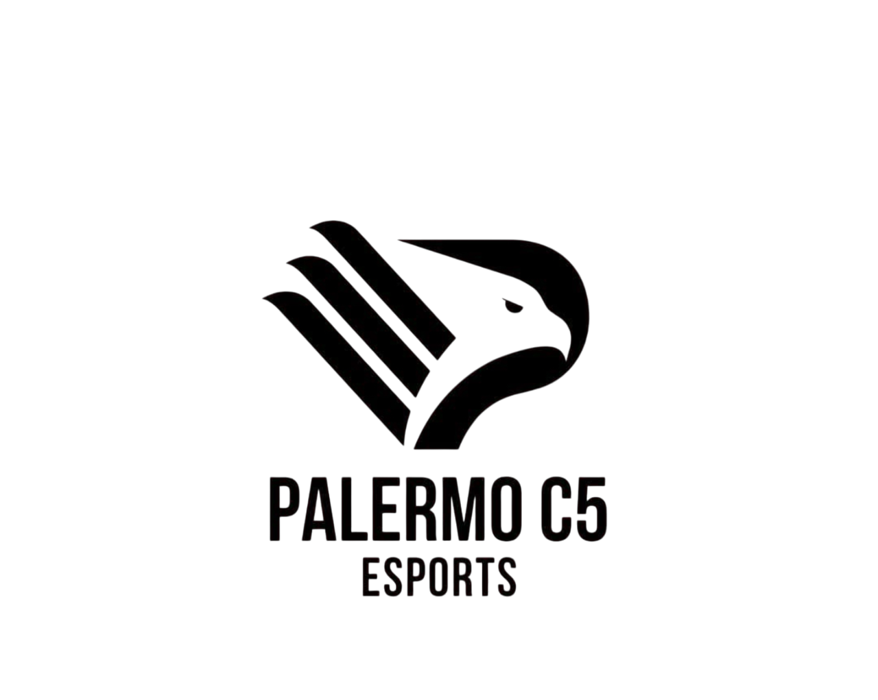 Palermo C5 esports - Playstation - Virtual Pro League