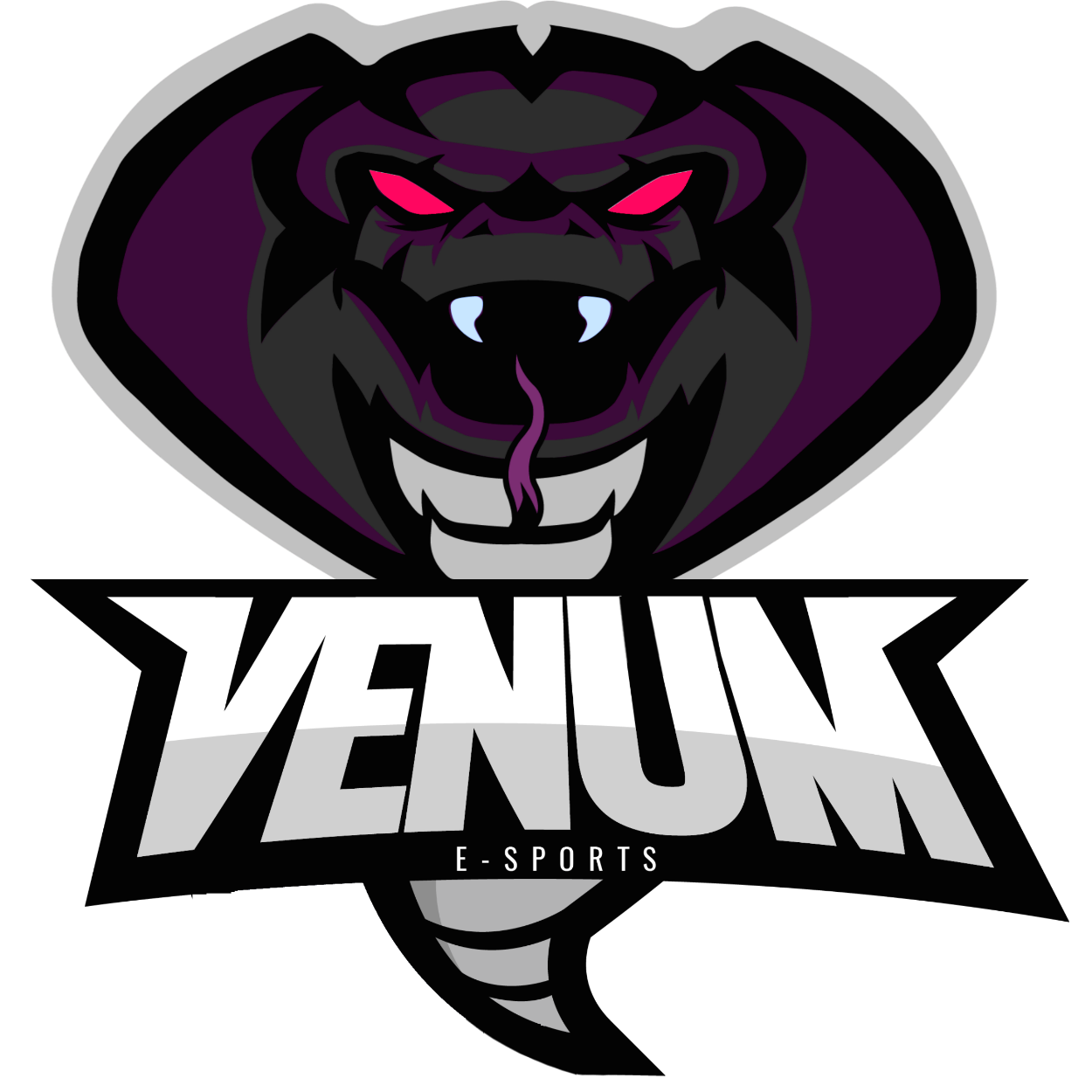 VenuM Team