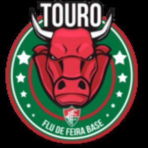 FLU DE FEIRA BASE