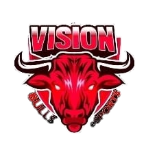 Vision Bulls